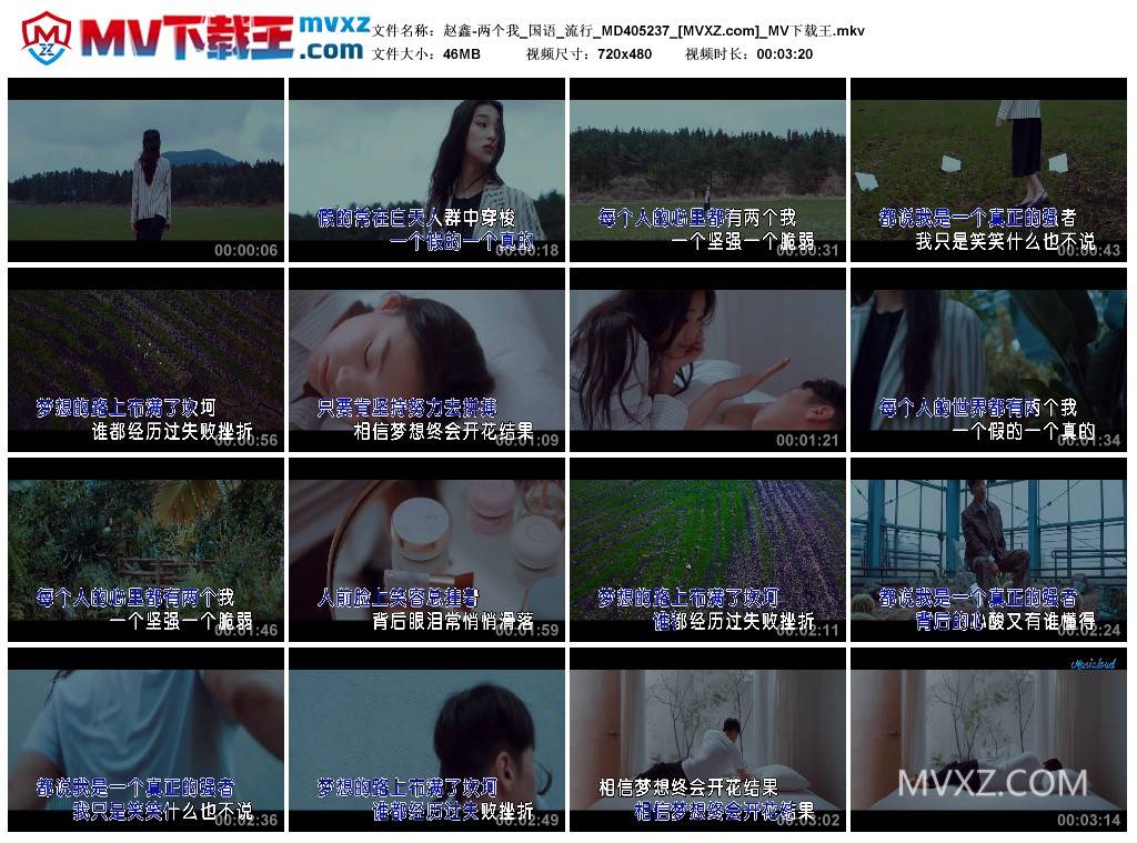 赵鑫-两个我_国语_流行_MD405237